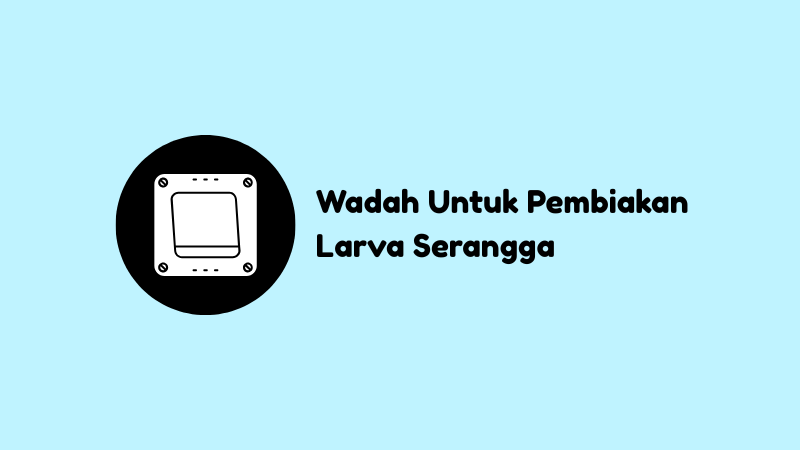 Wadah Untuk Pembiakan Larva Serangga, Jawaban TTS