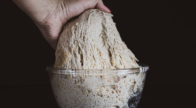 Fermentasi Merupakan Proses Metabolisme Glukosa yang Berlangsung tanpa Adanya?