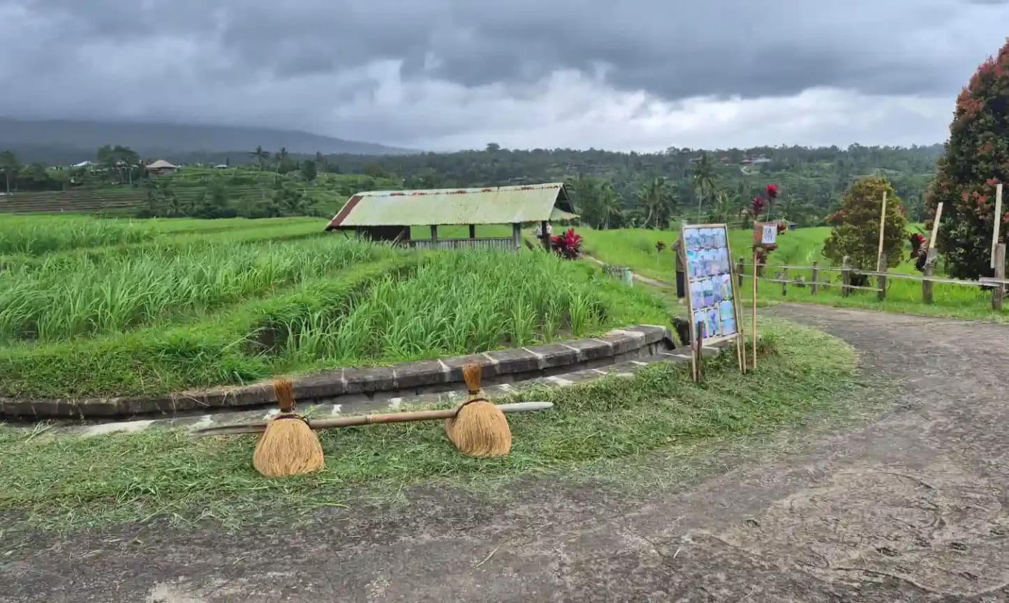 Tempat Wisata Jatiluwih Tabanan