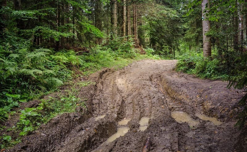 Membuka Jalan Kecil di Hutan Disebut? TTS 8 Huruf