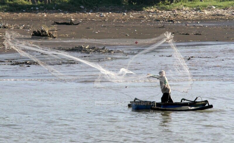 Jaring untuk Menangkap Ikan TTS
