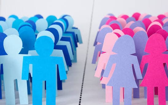 Kesetaraan Gender dalam Pendidikan hanya Terbatas pada Akses Masuk Sekolah yang Sama bagi Murid Laki-Laki dan Perempuan