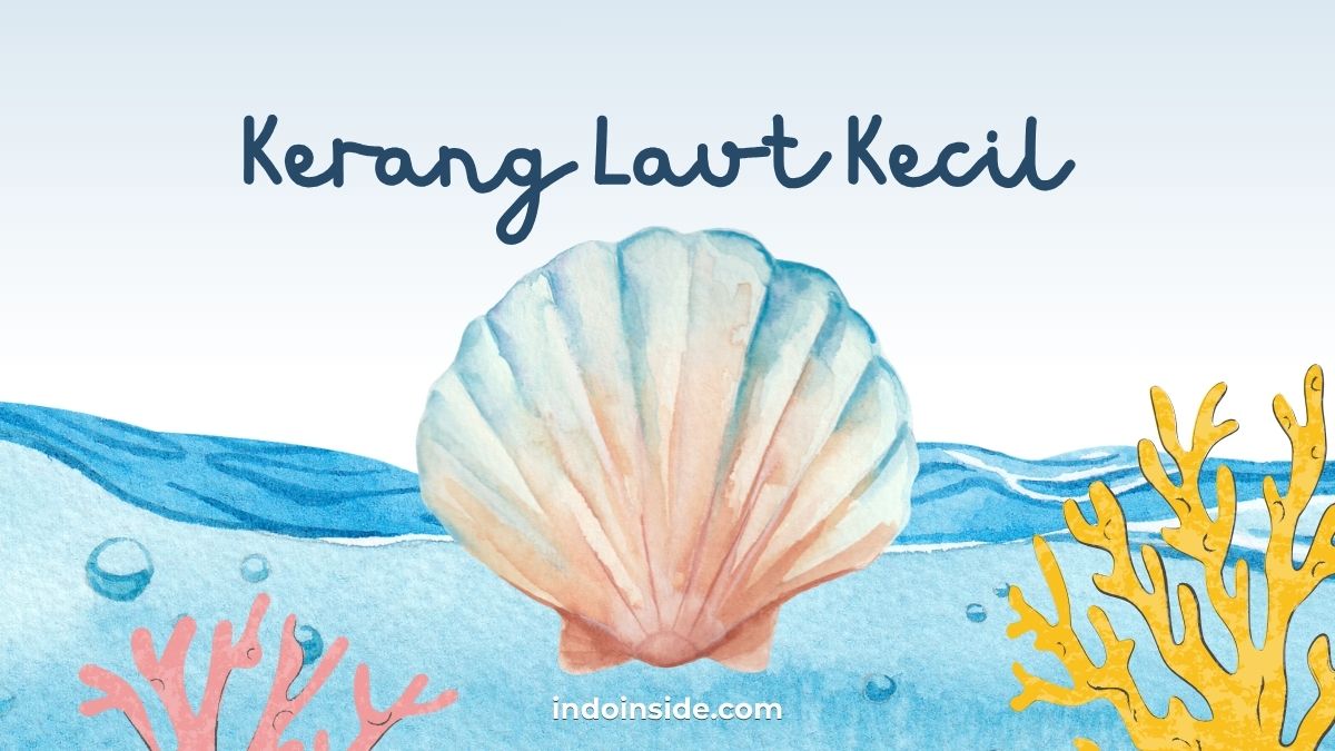 Kerang Laut Kecil TTS, Simak Jawabannya
