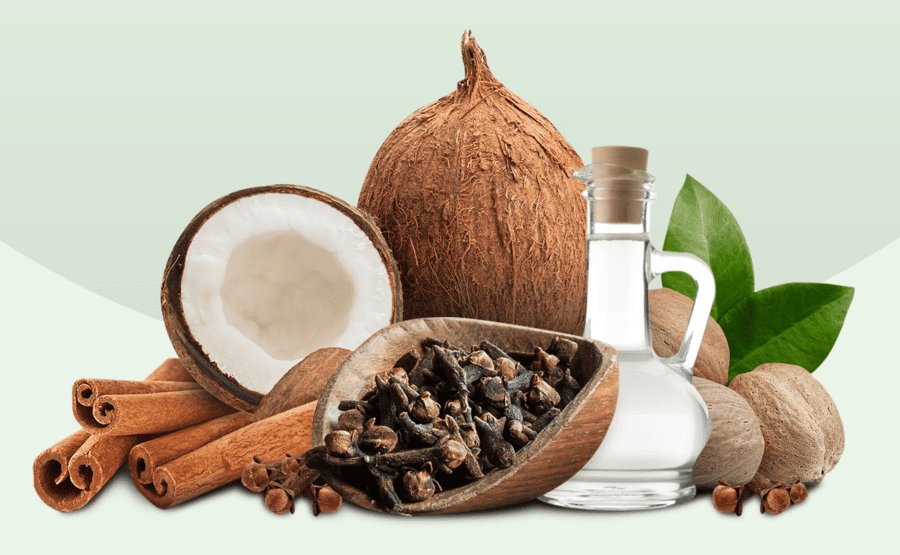 Peluang Besar Indonesia Menjadi Pemasok Kelapa dan Rempah untuk Pasar Internasional