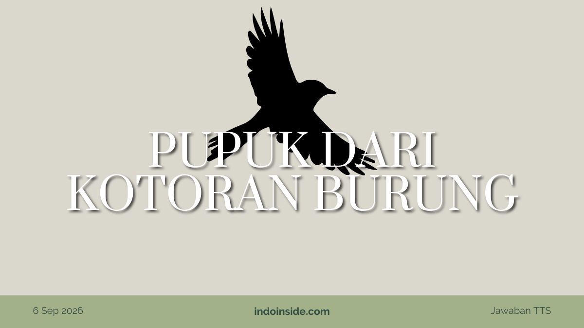 Pupuk dari Kotoran Burung TTS, Simak Jawabannya